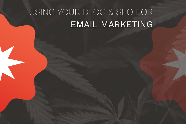 USING YOUR BLOG & SEO FOR EMAIL MARKETING